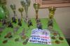 C'est à Fond d'Or Ducos que la Présidente du VTT a décidé de remettre à tous les champions de vtt leurs récompenses. Cadre magnifique pour accueillir les nombreux champions 2013.Cérémonie qui sera immortalisée par les photos de Lucette LANDRY. C'est à Fond d'Or Ducos que la Présidente du VTT a décidé de remettre à tous les champions de vtt leurs récompenses. Cadre magnifique pour accueillir les nombreux champions 2013.Cérémonie qui sera immortalisée par les photos de Lucette LANDRY.